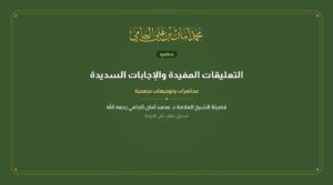 التعليقات المفيدة والإجابات السديدة